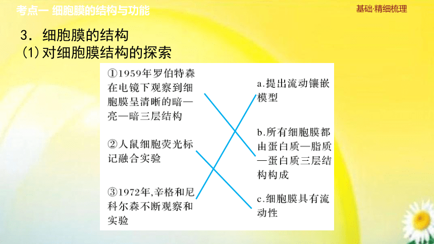 高三生物总复习课件-必修1 分子与细胞：第4讲　细胞膜与细胞核(共34张PPT)