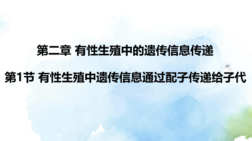 2.1有性生殖中遗传信息通过配子传递给子代课件（22张ppt）-2022-2023学年高一下学期生物沪科技版（2020）必修2