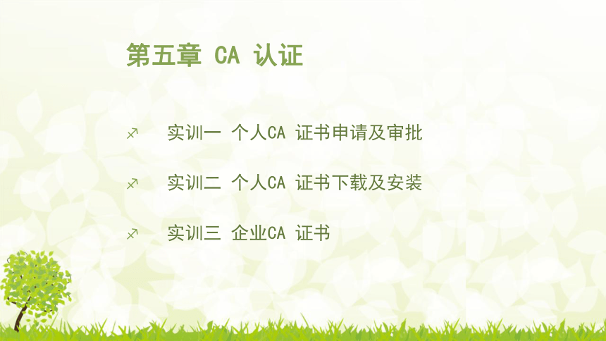 中职《电子商务综合实训》（劳保版）第五章 CA认证 实训3企业CA 证书 同步课件 (共19张PPT)