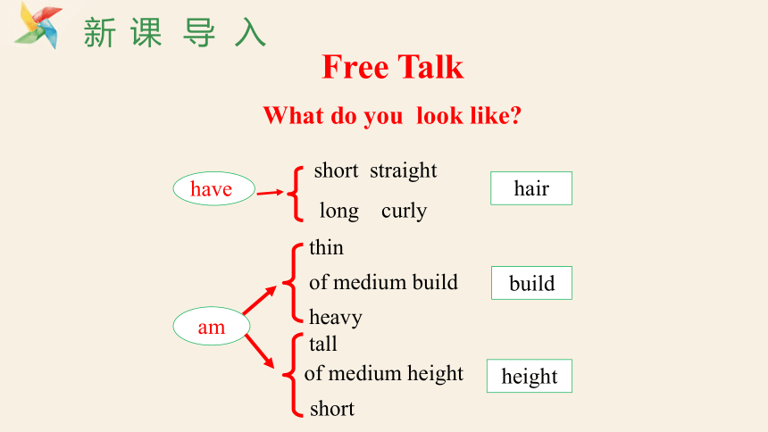 Unit 9 What does he look like Section A 2a-2d 课件＋音频(共18张PPT)人教版英语七年级下册