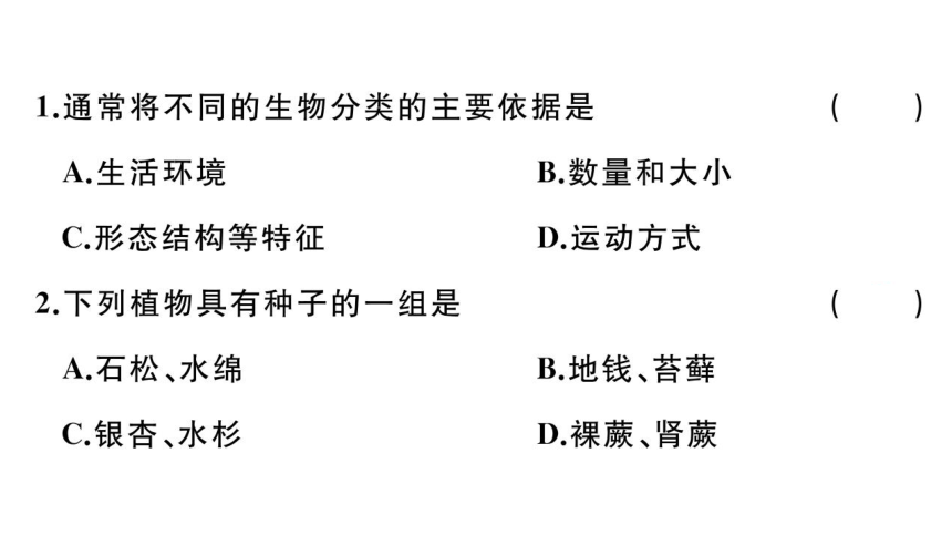 第六单元 第1~3章复习课件(共34张PPT)