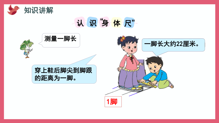 5.4 我们身体上的“尺”（课件）二年级上册数学苏教版(共18张PPT)