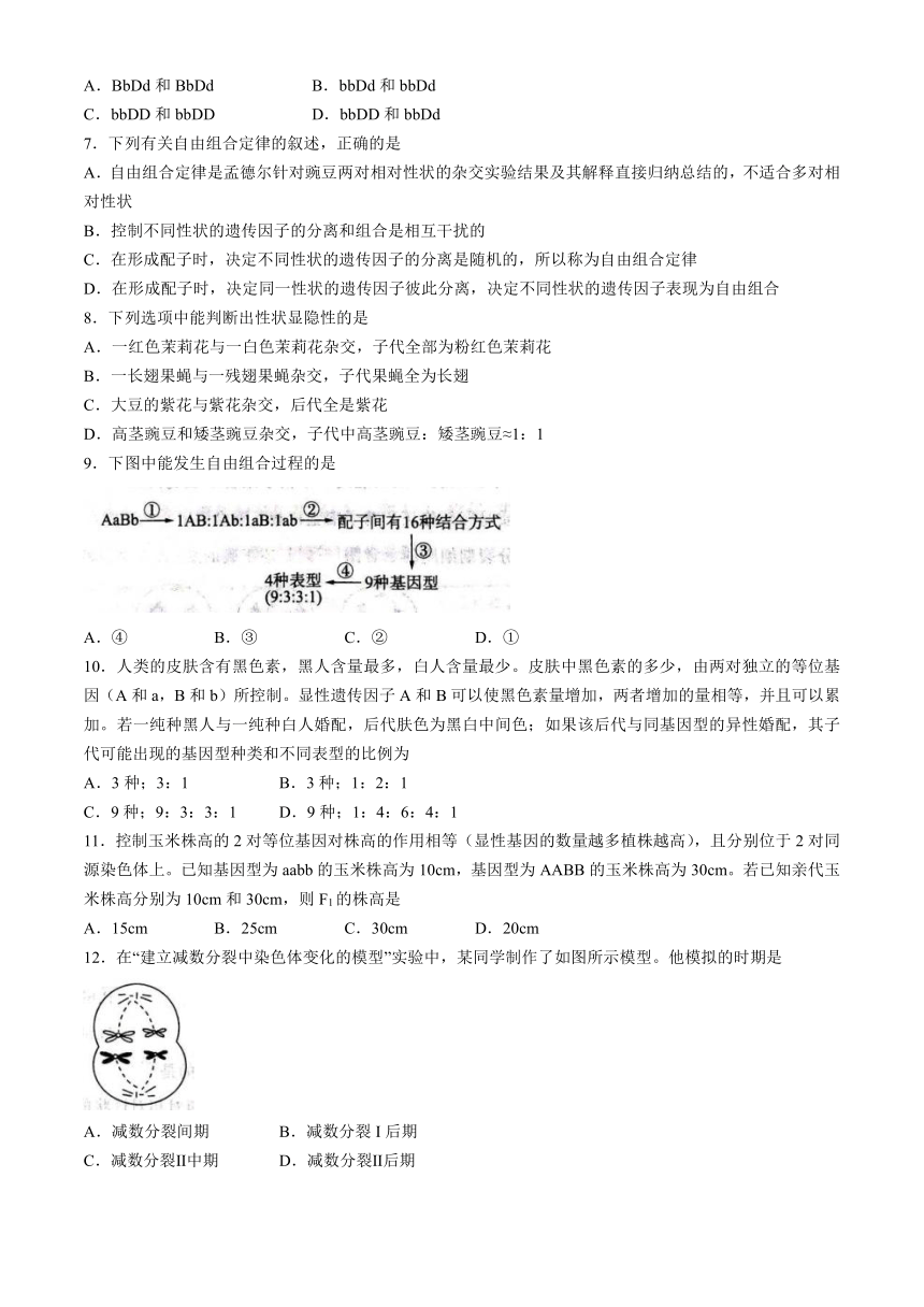 山东省大联考2023-2024学年高一下学期3月月考生物学试题（含解析）