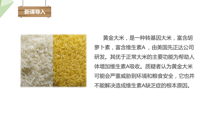 9.24.2 关注生物技术 课件 (共16张PPT)2023-2024学年初中生物苏教版八年级下册