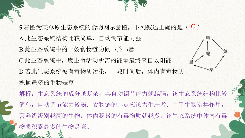 期末过关检测卷习题课件(共41张PPT)人教版生物七年级上册