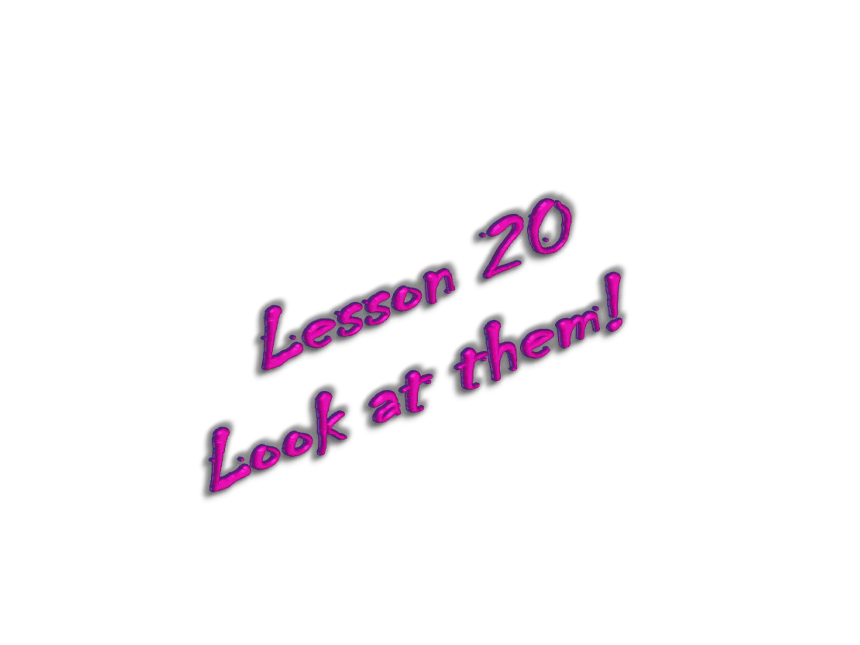 新概念英语第一册Lesson 20 Look at them!课件