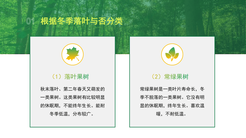 1.1.2果树的栽培学分类 课件(共17张PPT)-《果树生产技术》同步教学（中国农业出版社）