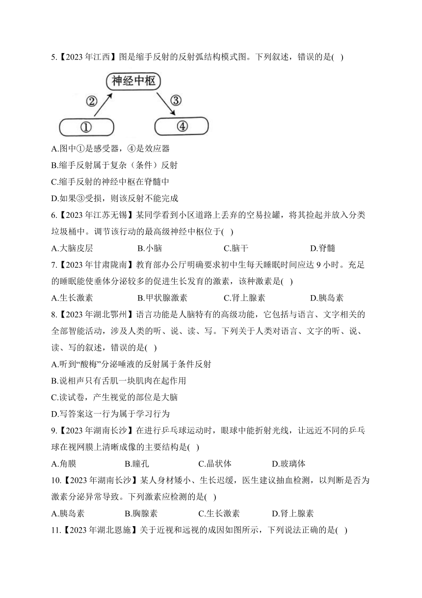 （10）人体生命活动的调节——2023年中考生物真题专项汇编（含答案）