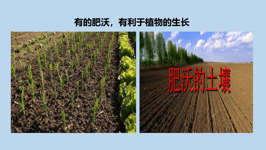 4.2 各种各样的土壤（课件 28张ppt）