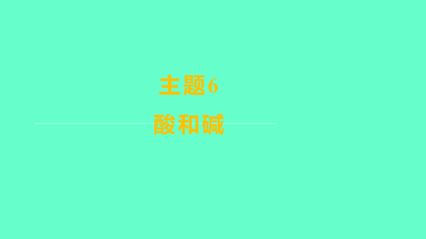 2024福建中考一轮复习 人教版化学 教材基础复习 板块一　主题6　酸和碱(共73张PPT)