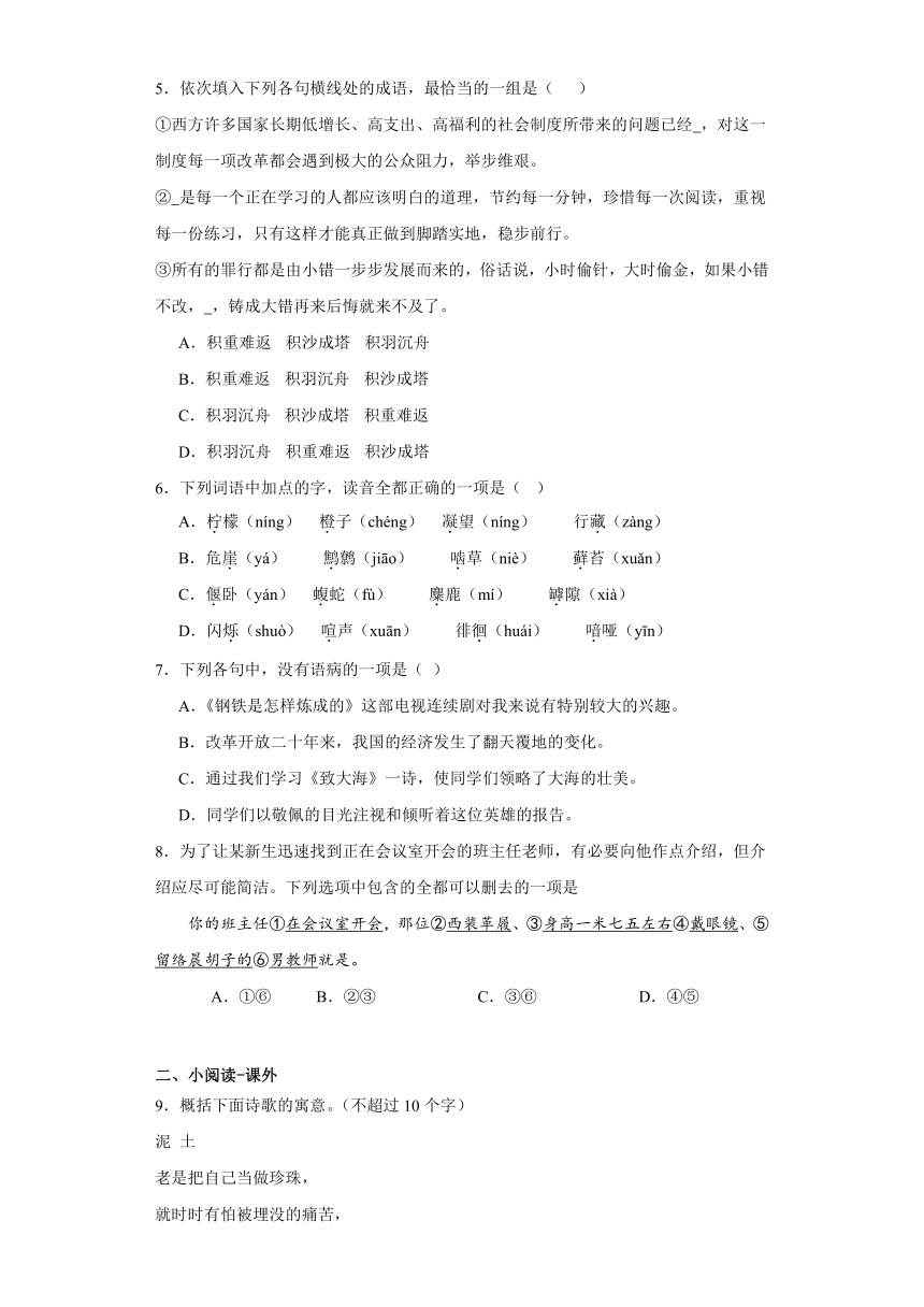 13.2 《致大海》作业（含答案） 2023-2024学年统编版高中语文选择性必修中册