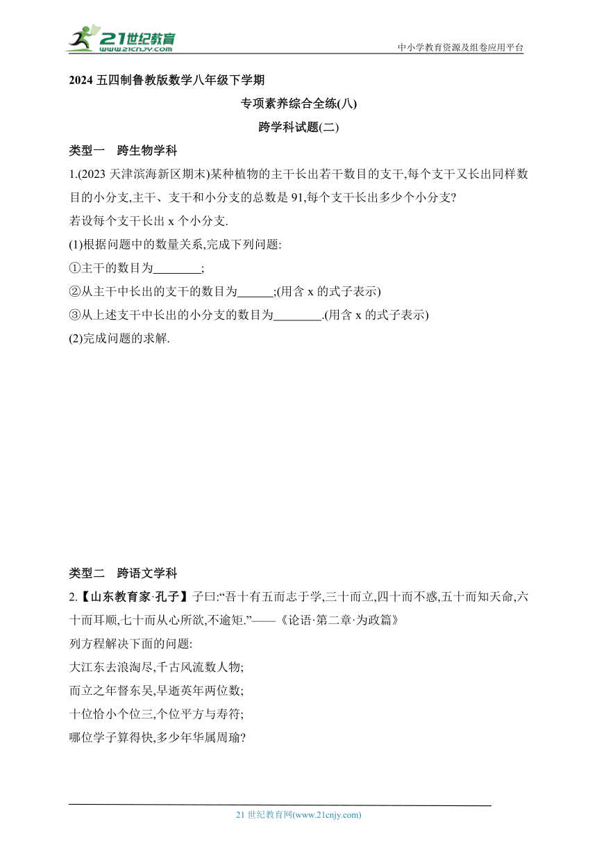 2024五四制鲁教版数学八年级下学期--专项素养综合全练(八)跨学科试题(二)（含解析）