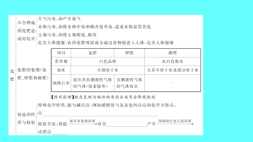 2024湖南中考复习 人教版化学 第十一单元　盐　化肥　课件(共50张PPT)