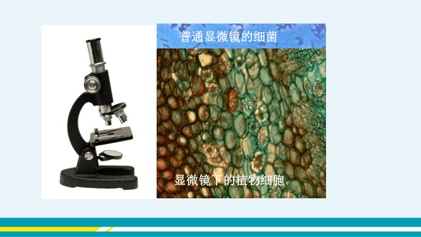 【轻松备课】人教版物理八年级上 第5章第5节 显微镜和望远镜 课件