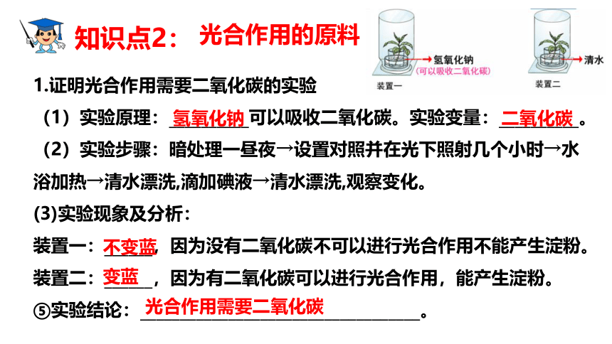 第三单元第三、四、五章章末复习-八年级生物上册同步精品课堂(冀少版)(共41张PPT)