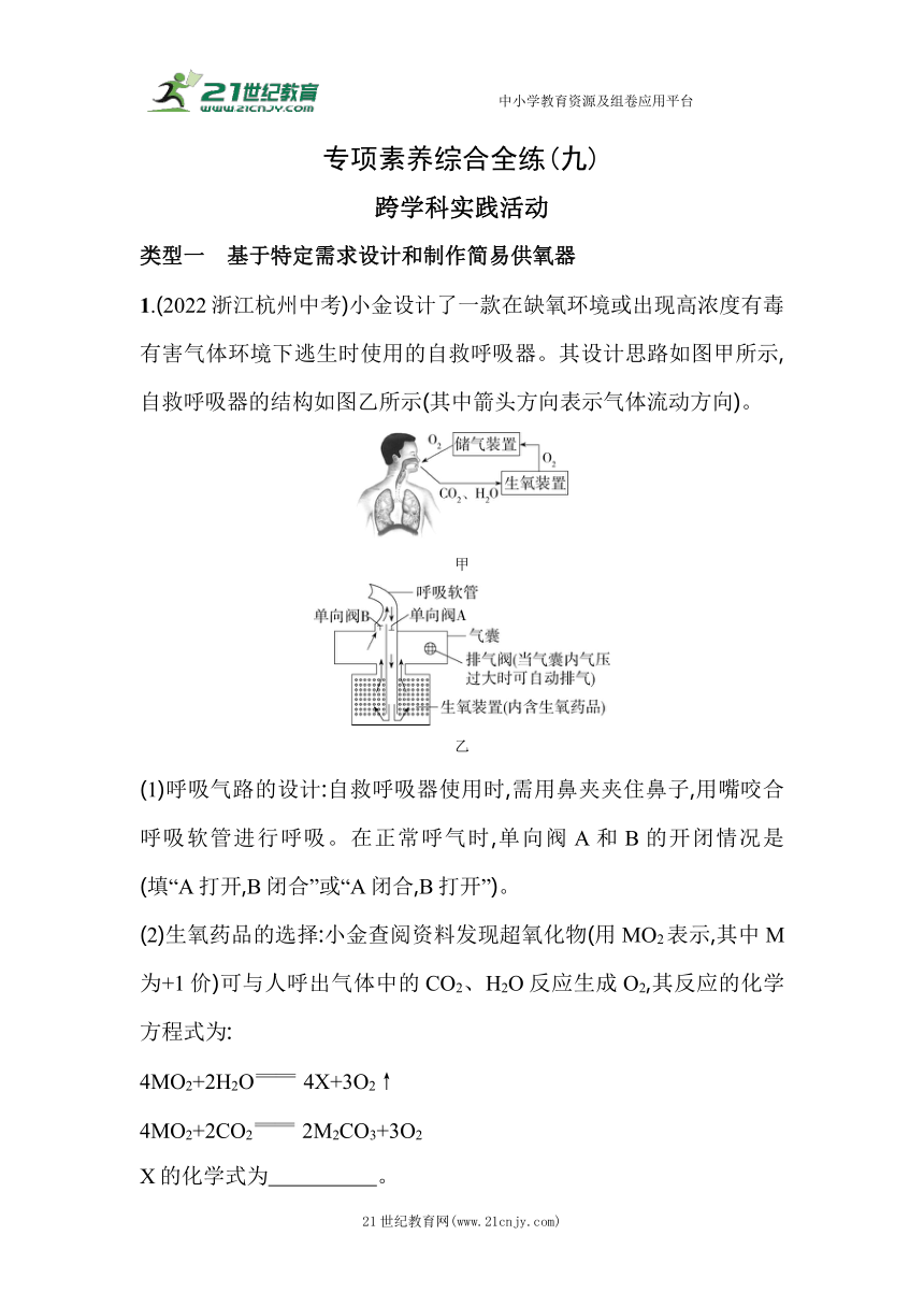 北京课改版化学九年级上册期末复习：09-专项素养综合全练（九） 跨学科实践活动