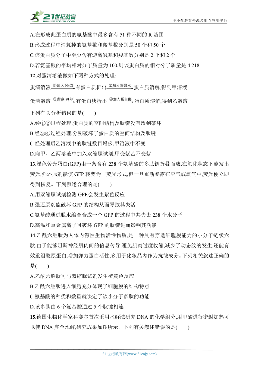 2025浙科版新教材生物学高考第一轮基础练--作业2　蛋白质与核酸（含解析）