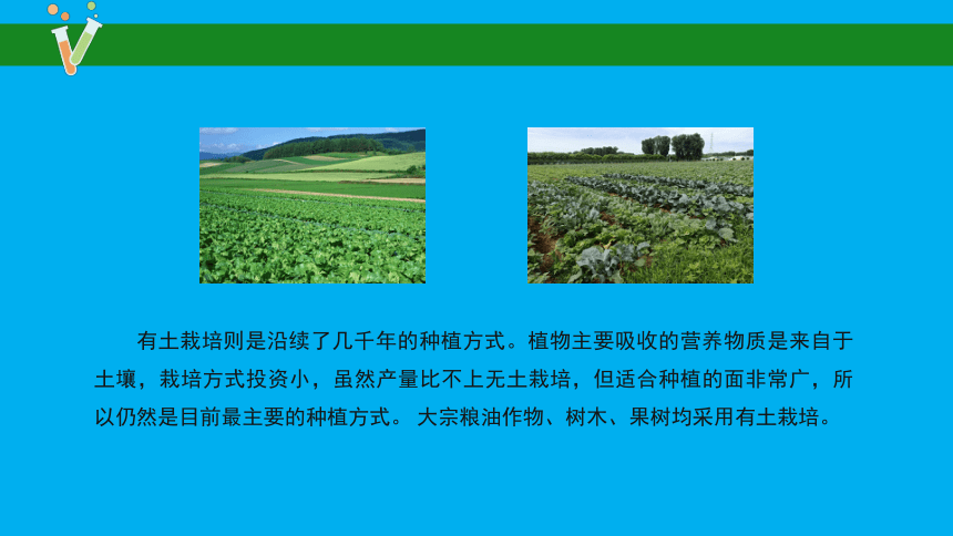 科学苏教版（2017秋）六年级上册16 人造肥料与现代农业 课件（共23张PPT）