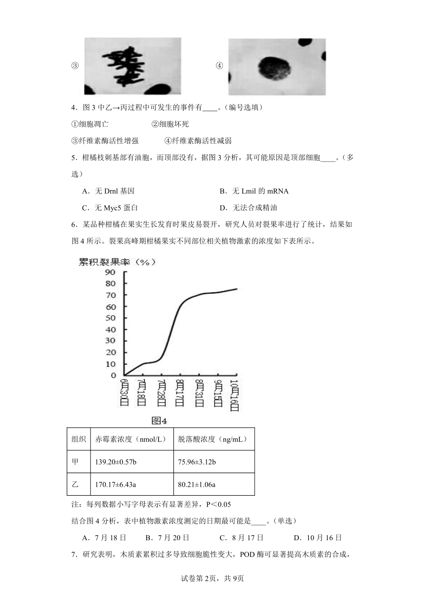 2024届上海市青浦区高三二模生物试卷（含解析）