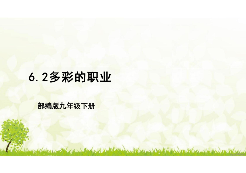 （核心素养目标）6.2 多彩的职业 课件（34张PPT）