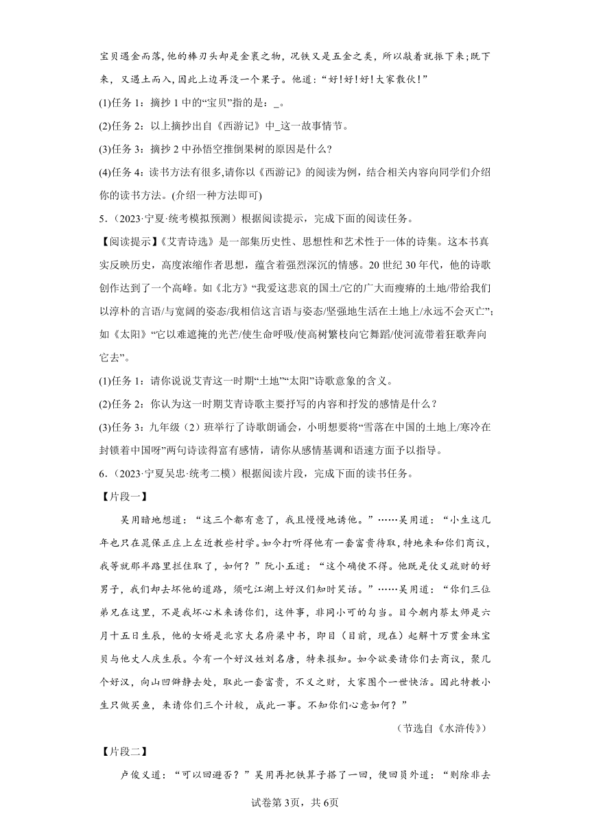 专题5 名著阅读  2024年中考语文专项练习（宁夏专用）（含解析）