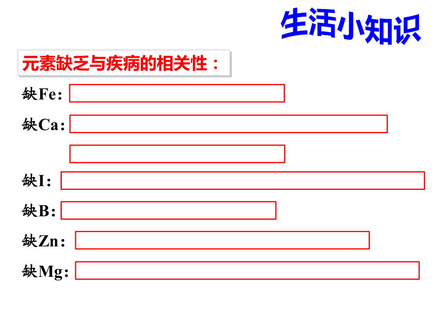 2.1细胞中的元素和化合物(课件共29张PPT)