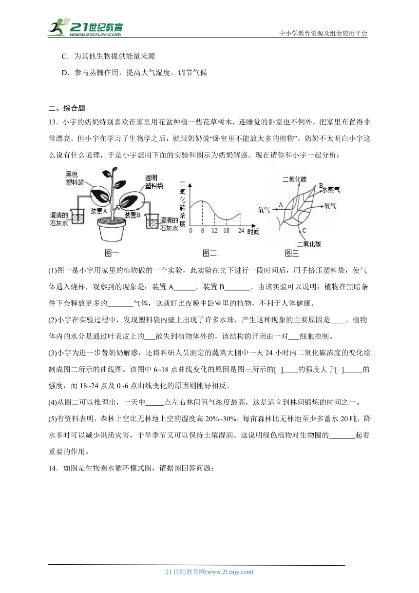 2023-2024学年初中生物济南版七年级上册期末复习专题10——绿色植物在生物圈的作用（答案 解析）