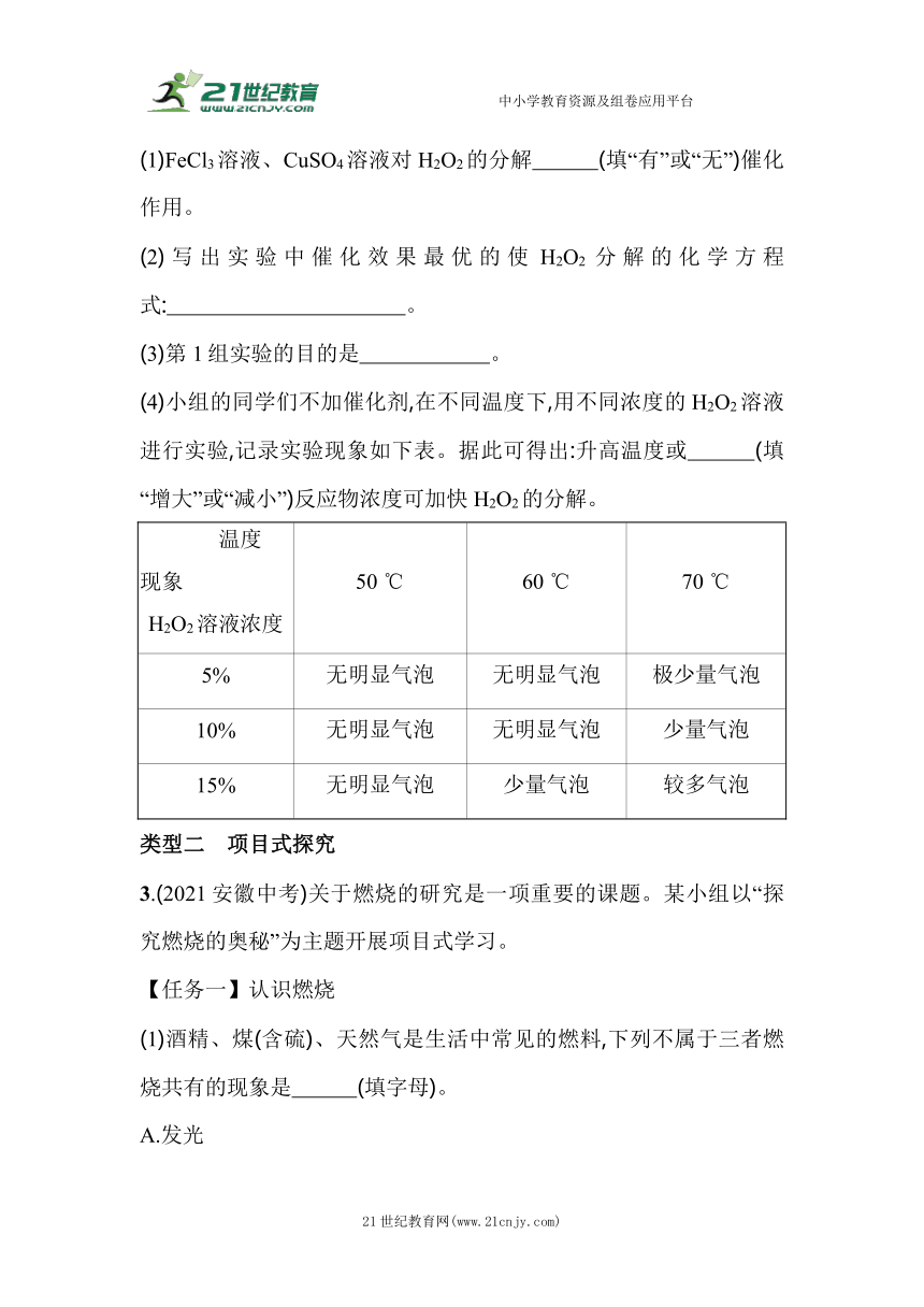 北京课改版化学九年级上册期末复习：07-专项素养综合全练（七） 科学探究