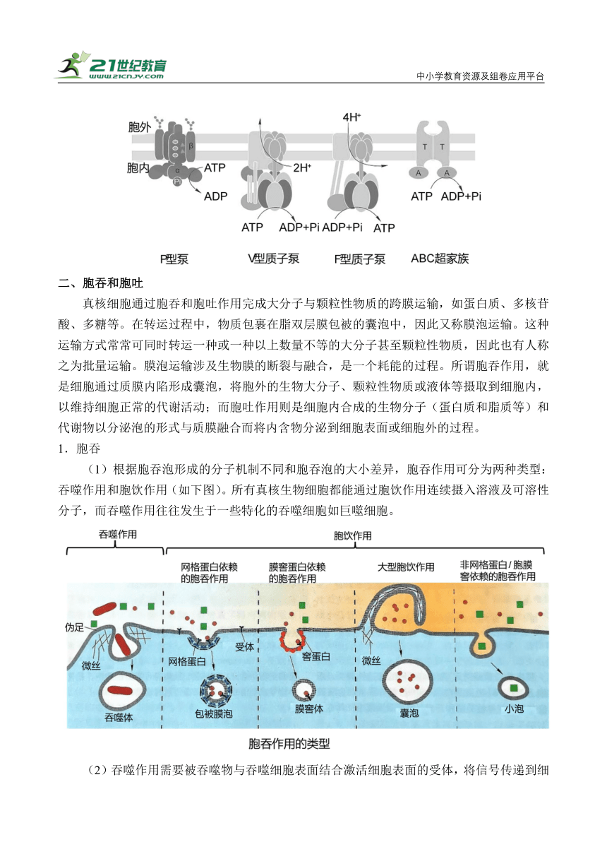 【备考2024】高中生物一轮复习学案 第3讲 物质跨膜运输（含解析）