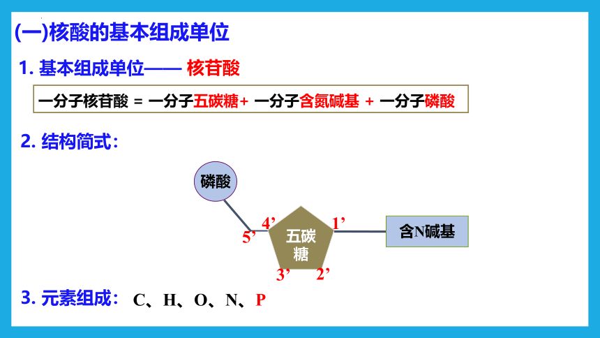 2.5核酸是遗传信息的携带者 课件(共39张PPT)