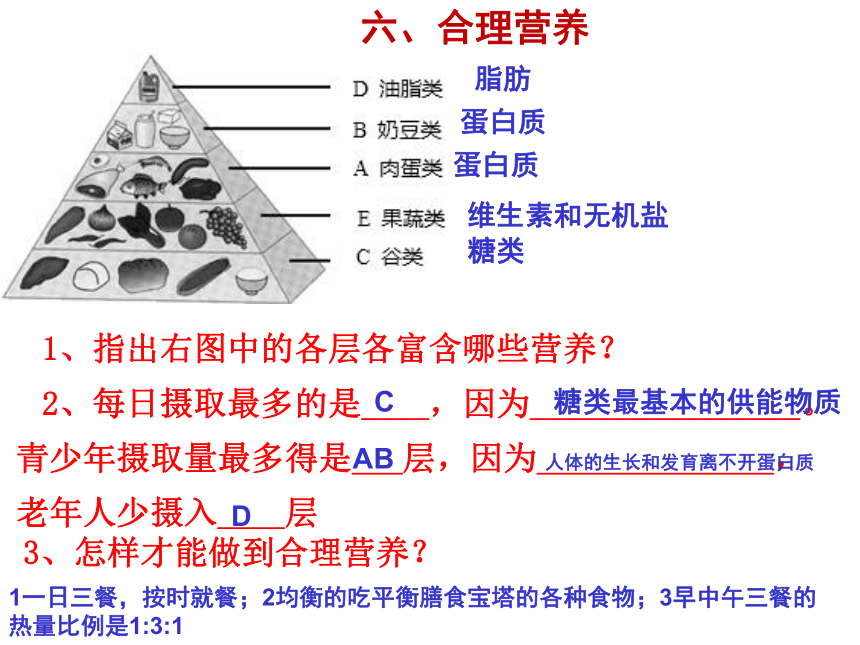 4.3人体的呼吸 复习课件(共37张PPT)2023-2024学年鲁科版生物七年级上册