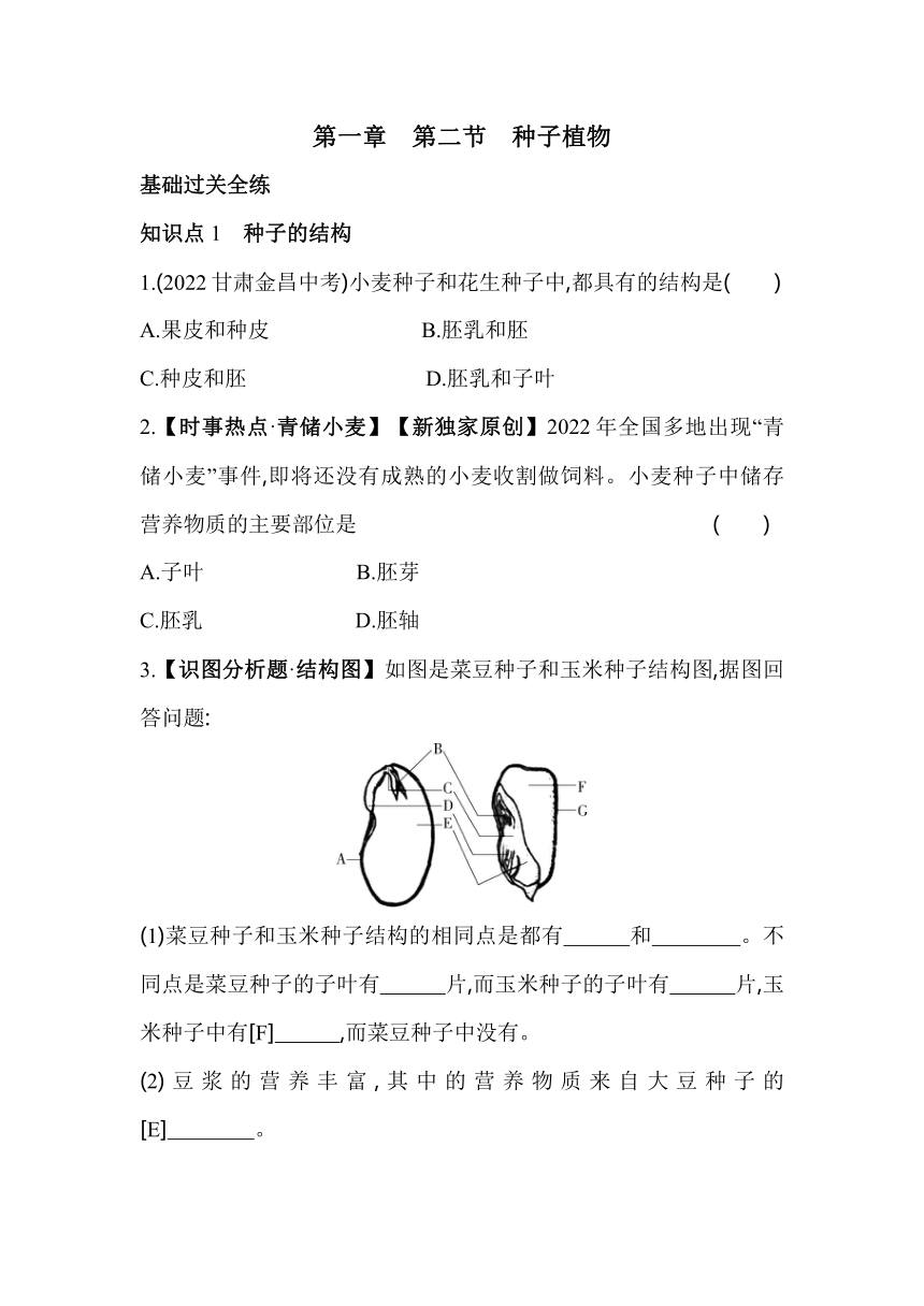 3.1.2种子植物素养提升练（含解析）人教版生物七年级上册