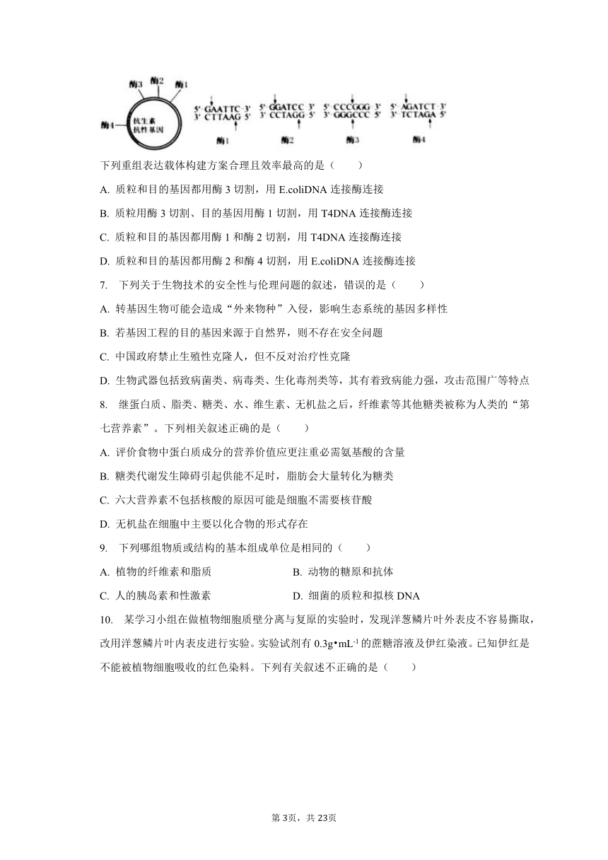 2023-2024学年重庆市西北狼教育联盟高三（上）开学生物试卷（Word含解析）