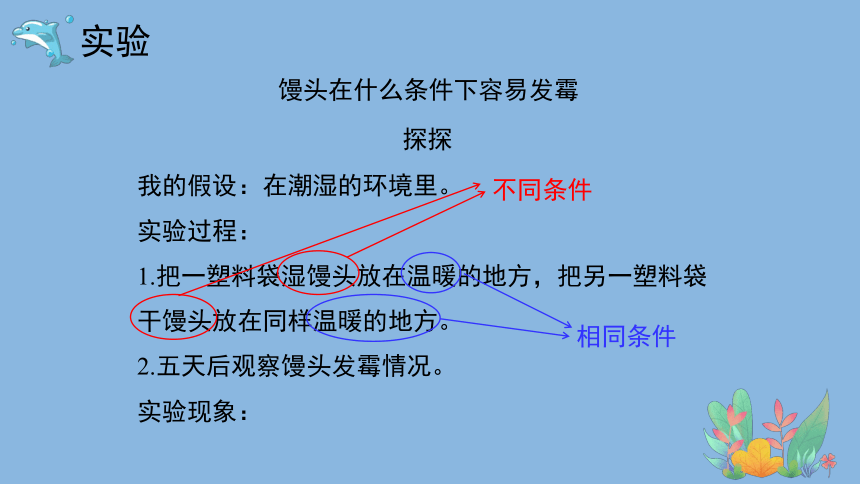 科学大象版（2017秋）六年级上册1.3《发霉的馒头》课件（共22张PPT）