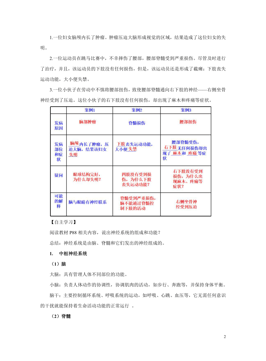 4.6.2神经系统的组成教案 初中生物人教版七年级下册