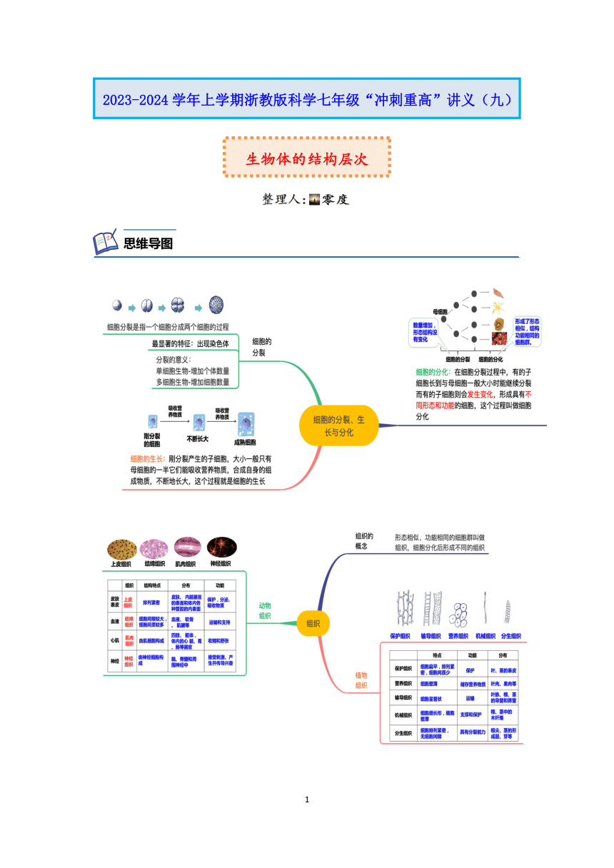 浙教版科学2023-2024学年上学期七年级“冲刺重高”讲义（九）：生物体的结构层次（含解析）