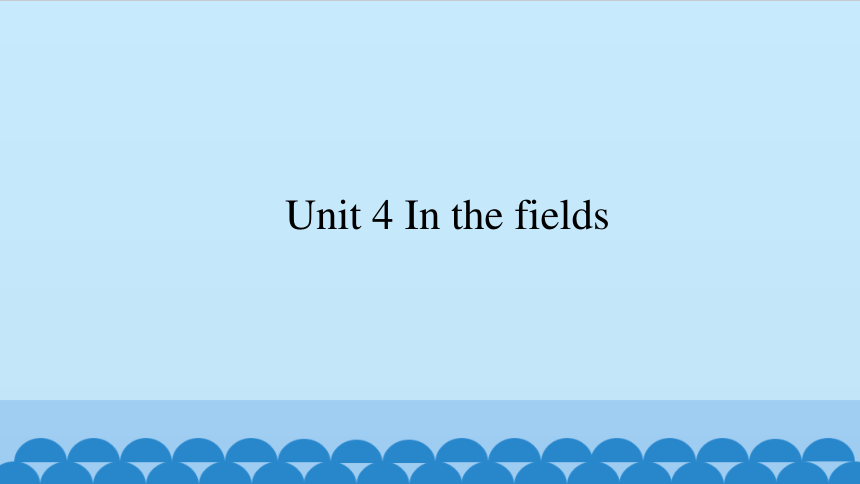 Unit4 In the fields  课件（共14张PPT）