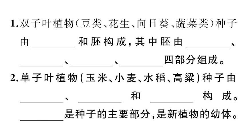 七年级上册期末复习专项五  植物类群和被子植物的一生课件(共42张PPT)