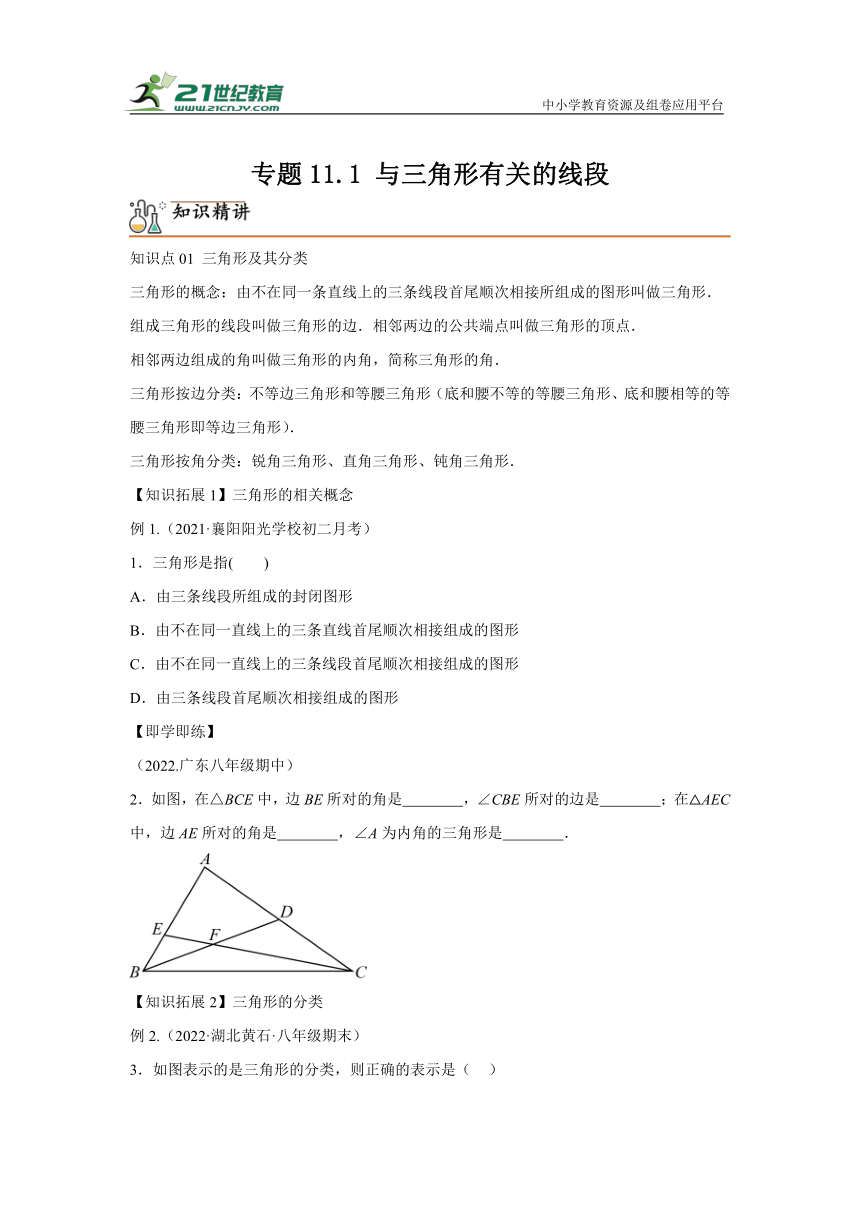 专题11.1与三角形有关的线段 同步讲练（含解析）