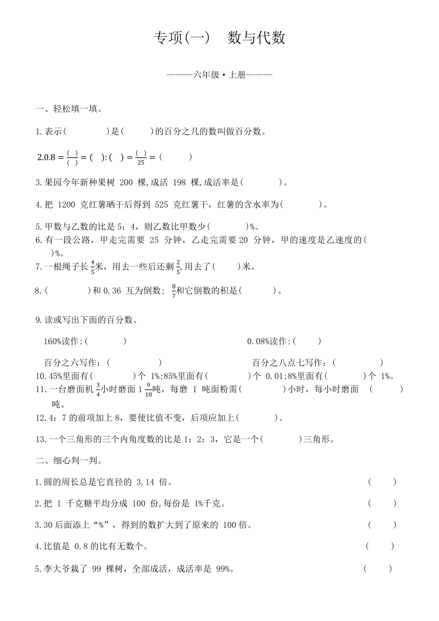 北师大版六年级数学上册专项(一)  数与代数（无答案）