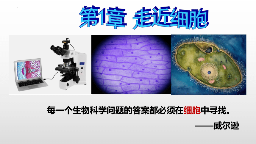 1.1细胞是生命活动的基本单位（共50张PPT）高一生物（人教版2019必修1）