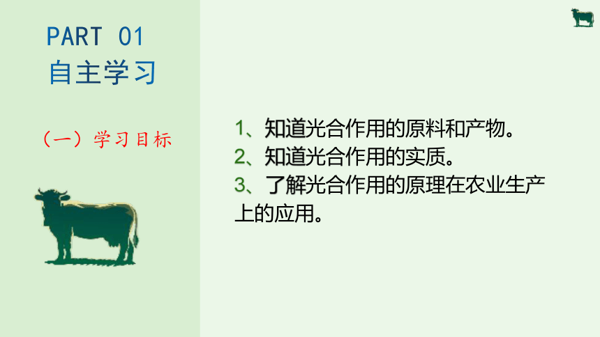 3.5.1 光合作用吸收二氧化碳释放氧气-【备课精选】2023-2024学年七年级生物上册同步教学精品课件(共22张PPT)