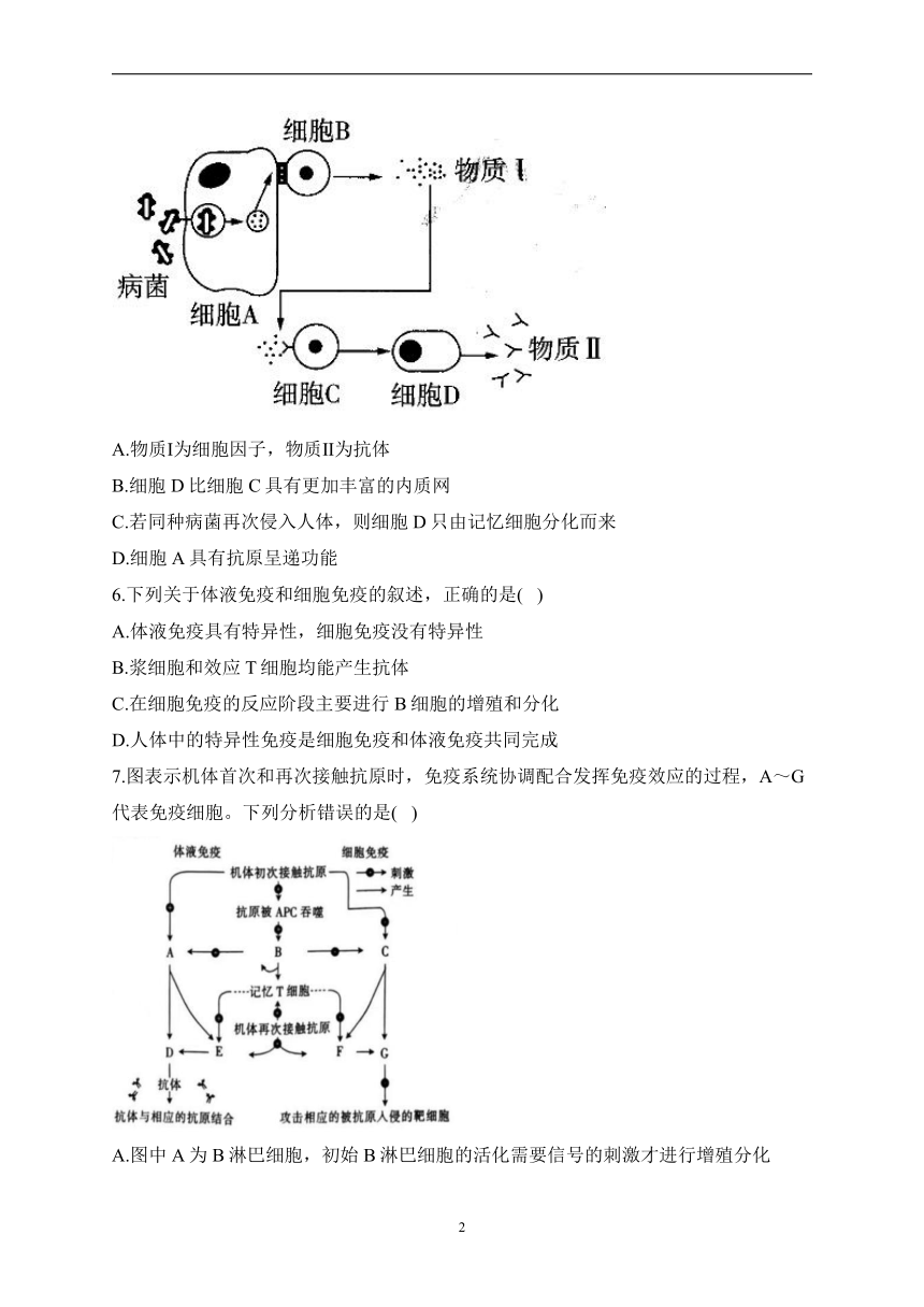 4.3特异性免疫——2023-2024学年高二生物学北师大版（2019）选择性必修一同步课时训练（含解析）