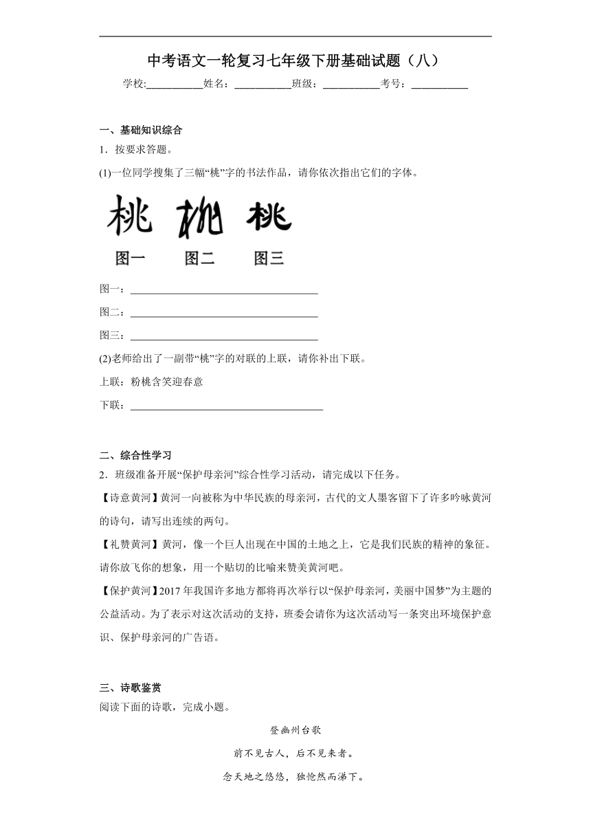 2024年中考语文一轮复习七年级下册基础试题（八）（含答案）