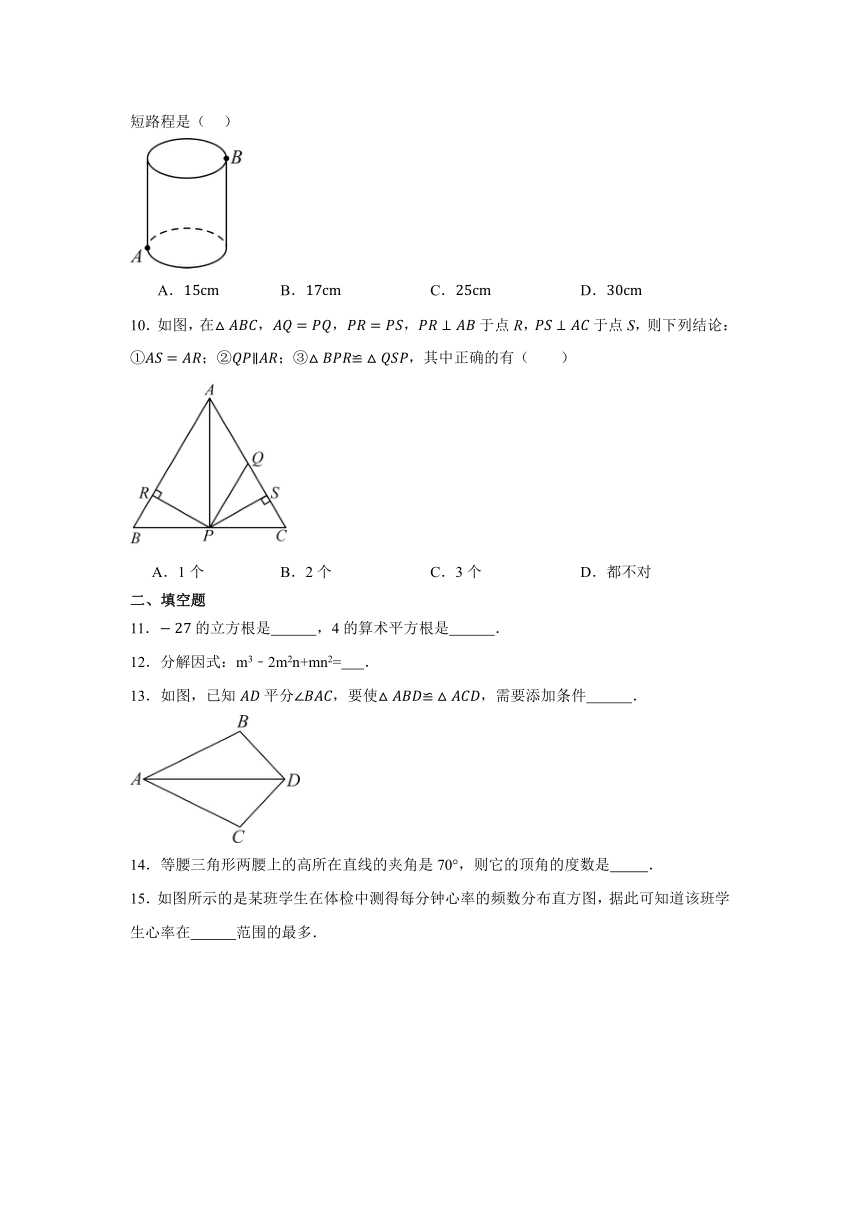 2023-2024学年华东师大版数学八年级上册期末复习训练卷（二）（无答案）