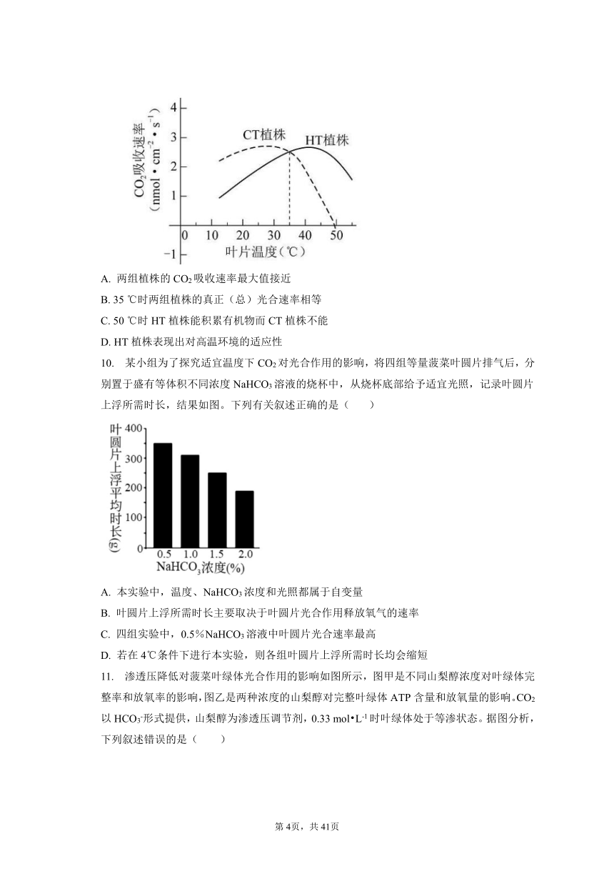 【真题分类汇编】考点05：光合作用（有解析）--2019-2023年高中生物真题分类汇编专题练习