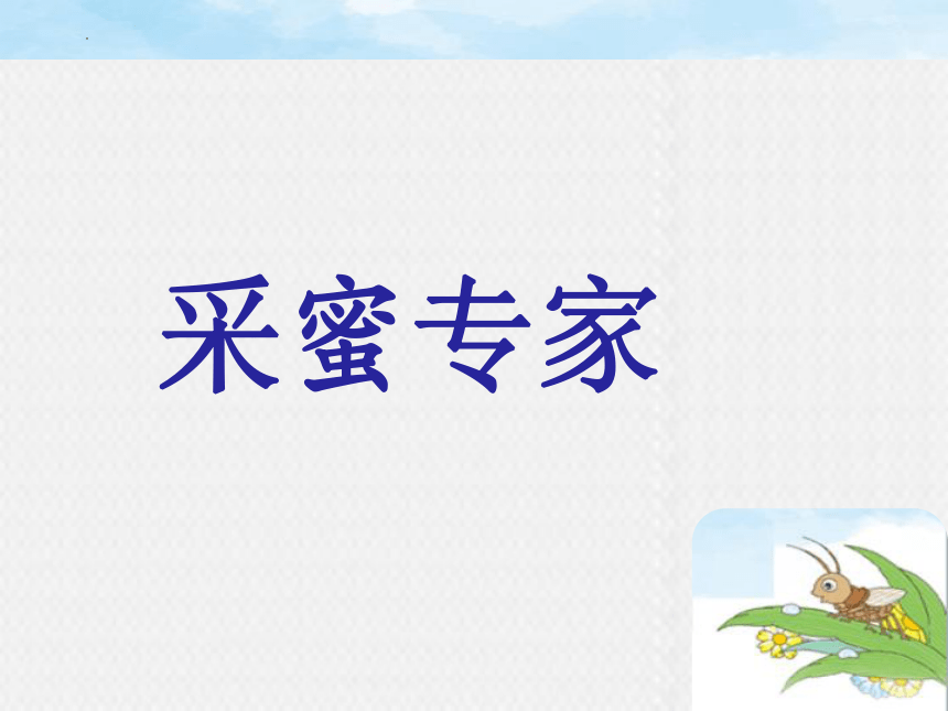 11 我是一只小虫子 课件(共30张PPT)