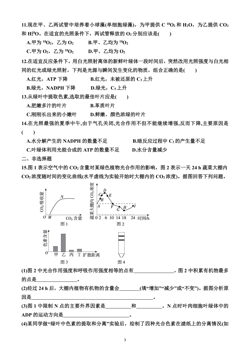 5.4   光合作用与能量转化（同步训练）（附解析）——2023—2024学年人教版（2019）生物高一上学期必修1