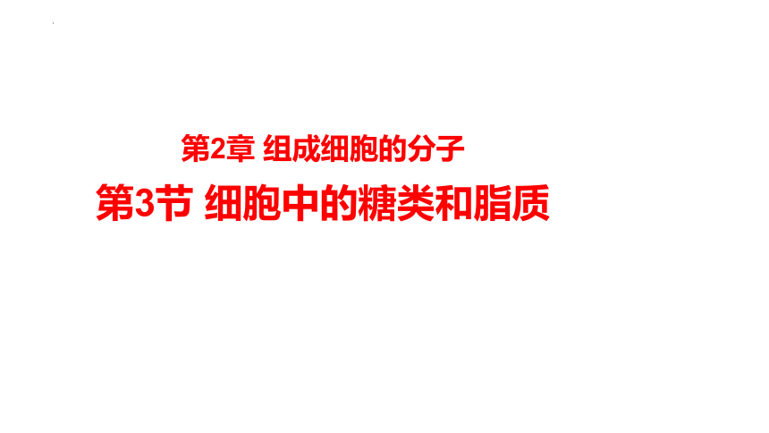 2.3 细胞中的糖类和脂质-(共32张PPT)高一生物课件（人教版2019必修1）