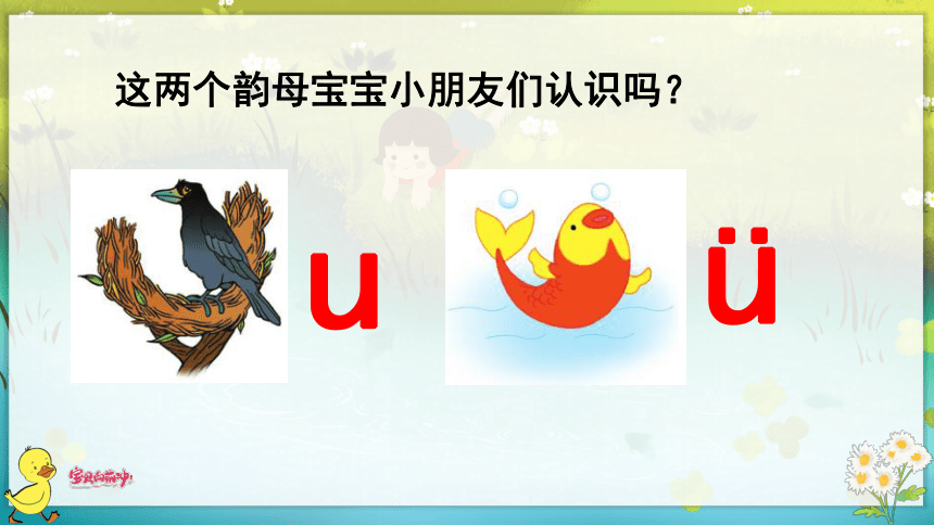 汉语拼音2  i  u  ü  y  w 课件